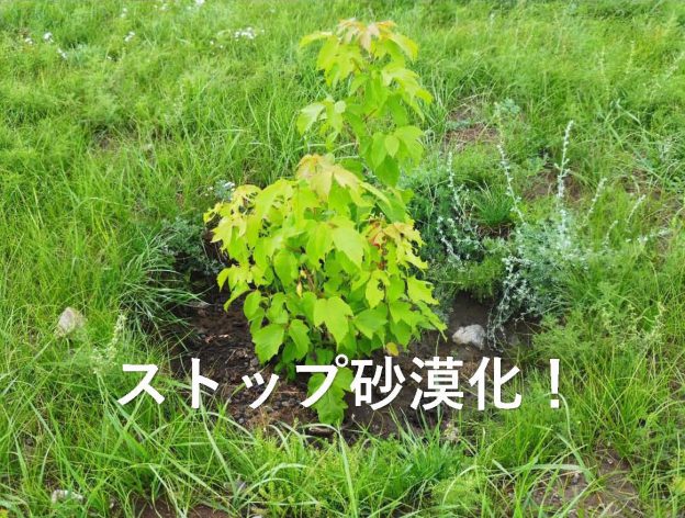 植林体験！
